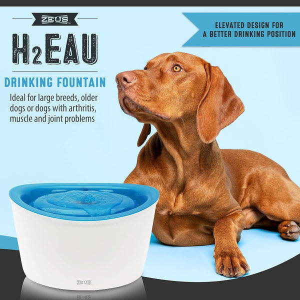 Zeus Fresh & Clear Elevated Dog and Cat Water Dispenser, Large Drinking Water Fountain with Purifying Filter, 6L Capacity, 1 Count (Pack of 1) | Large Drinking Water Fountain with Purifying Filte3