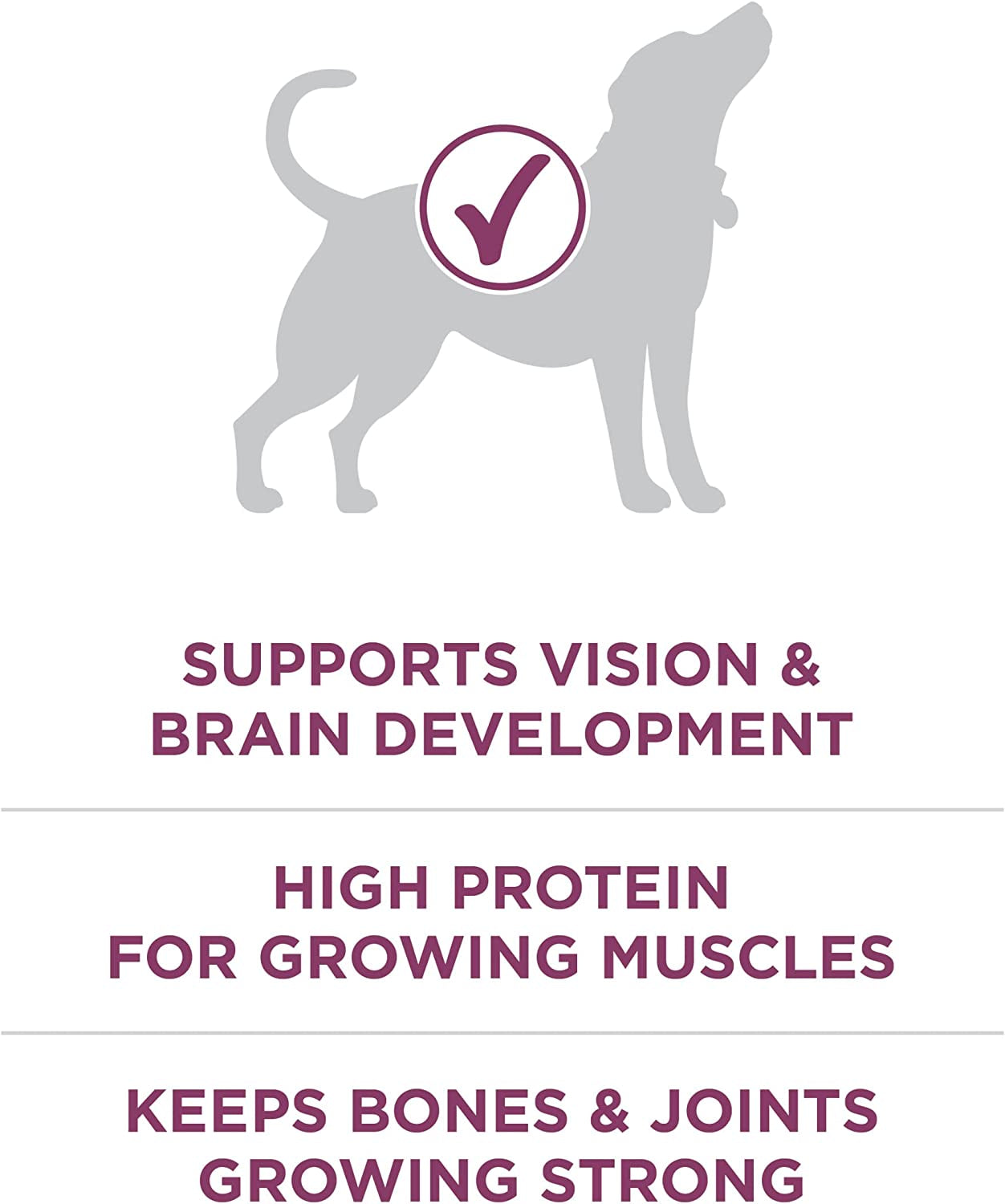 purina-one-plus-healthy-puppy-formula-high-protein-natural-dry-puppy-food-with-added-vitamins-minerals-and-nutrients-8-lb-bag