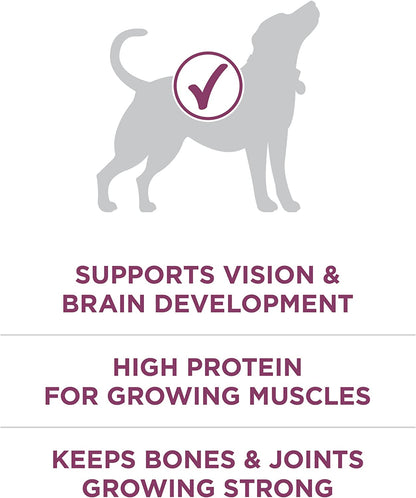 Purina ONE plus Healthy Puppy Formula High Protein Natural Dry Puppy Food with Added Vitamins, Minerals and Nutrients - 8 Lb. Bag5