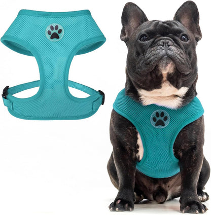 BINGPET Small Dog Harness, No Pull Dog Harness Small Sized Dogs, Soft Light Breathable Mesh Puppy Vest with Safety Buckle-Adjustable Step in Pet Harnesses for Easy Walking, Running, Training15