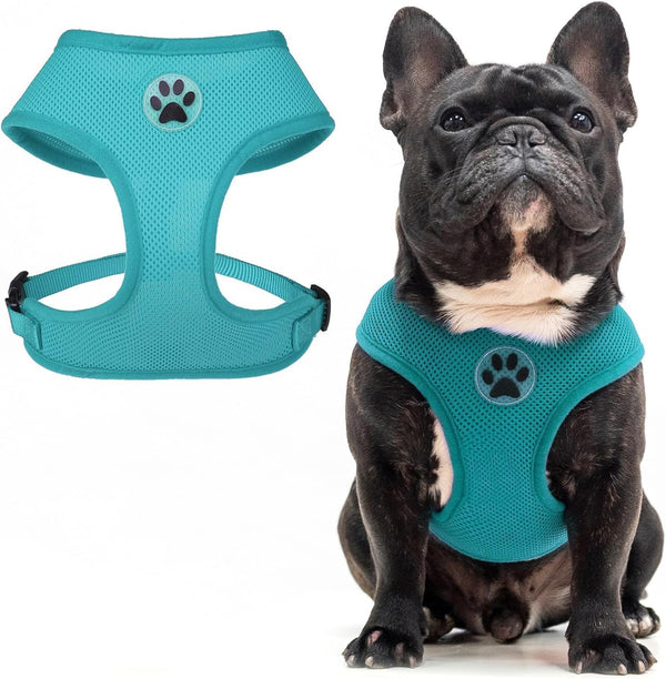 BINGPET Small Dog Harness, No Pull Dog Harness Small Sized Dogs, Soft Light Breathable Mesh Puppy Vest with Safety Buckle-Adjustable Step in Pet Harnesses for Easy Walking, Running, Training15