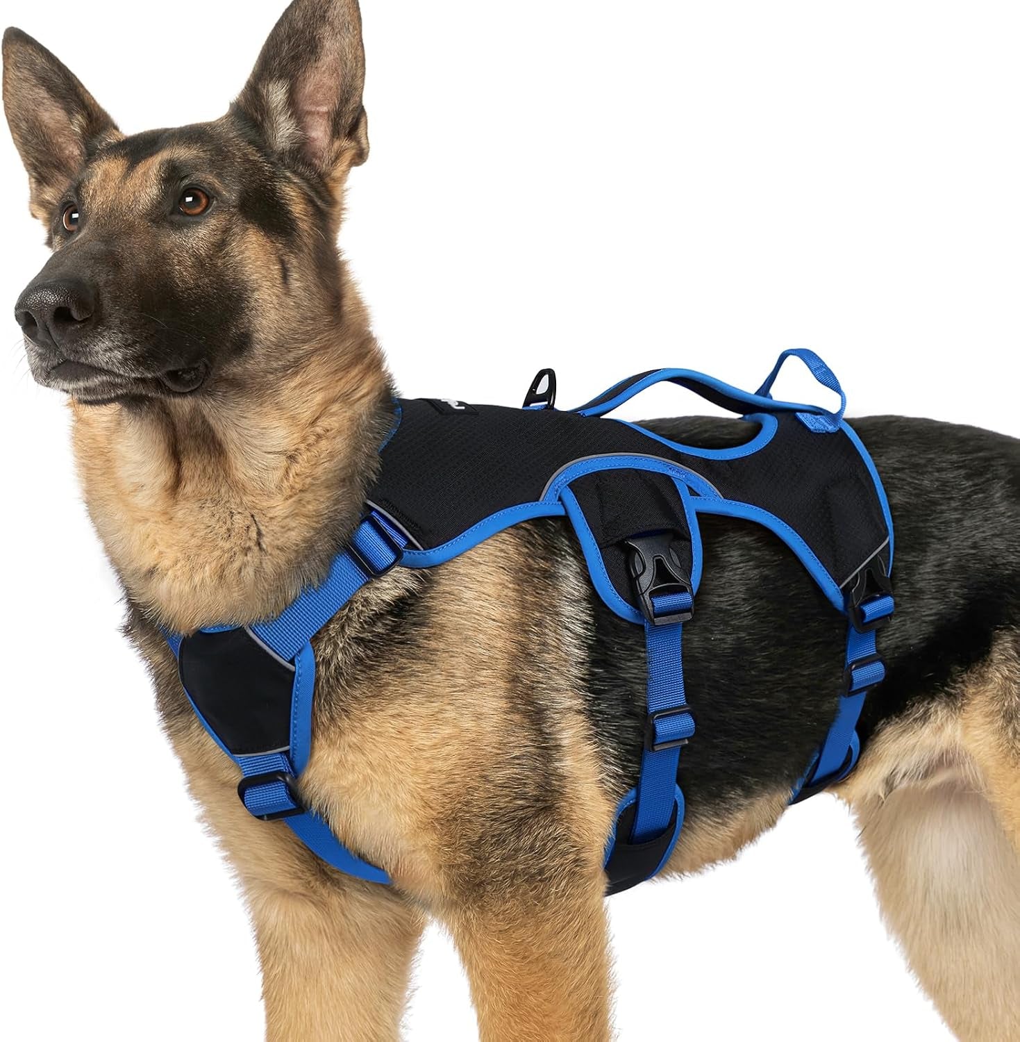rabbitgoo-escape-proof-dog-harness-for-large-no-pull-with-lift-handle-no-escape-full-soft-padded-reflective-adjustable-vest-leash-clip-for-walking-hiking-training-black-large