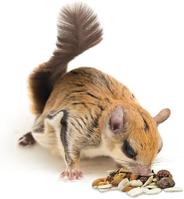 Exotic Nutrition Squirrel Complete (1.75 Lb.) - Healthy Natural Food - Nutritional Diet for Pet & Captive Squirrels - Ground, Grey, Flying Squirrels, & Chipmunks6