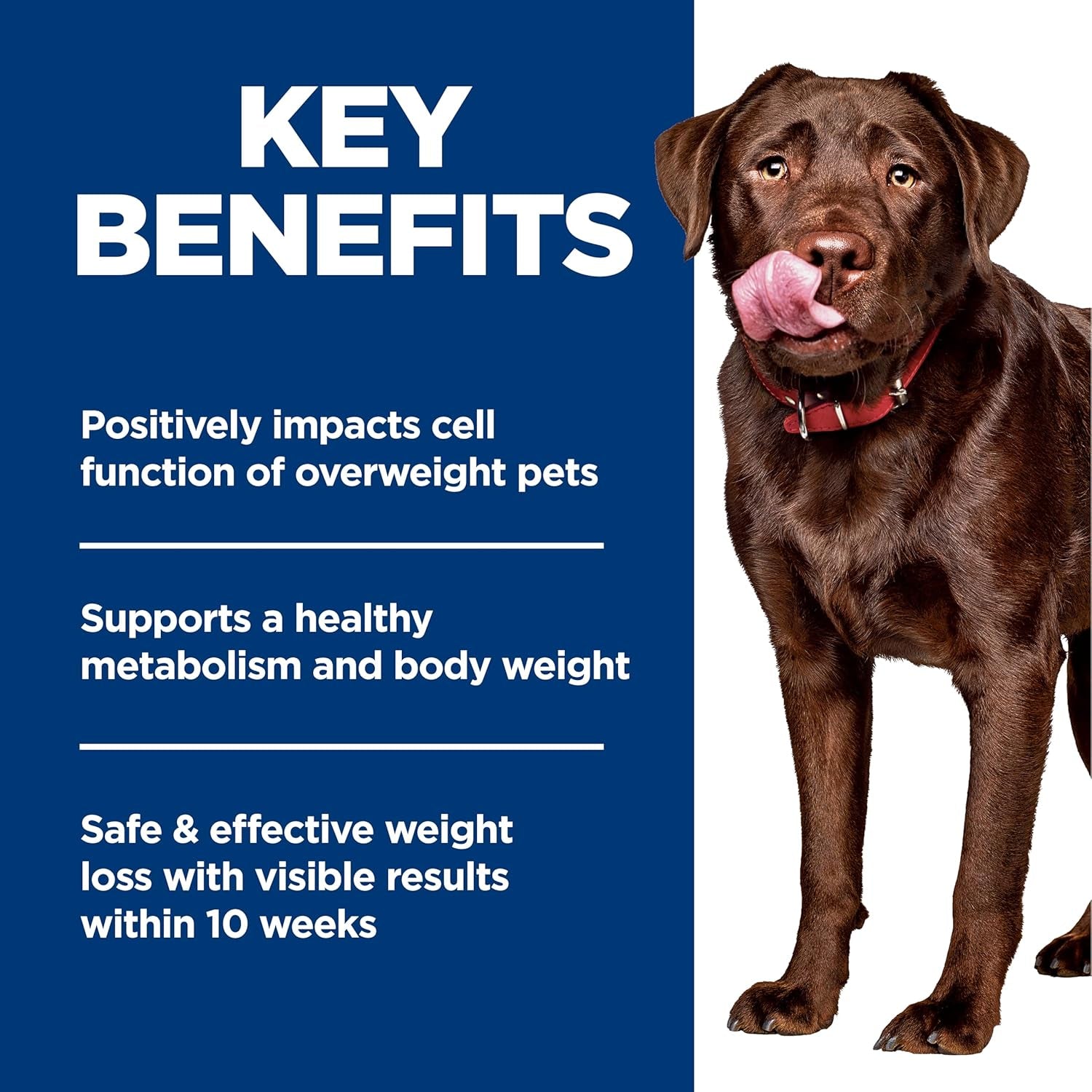 hills-science-diet-perfect-weight-large-breed-dry-dog-food-1-veterinarian-recommended-adult-formula-chicken-brown-rice-25-lb-bag