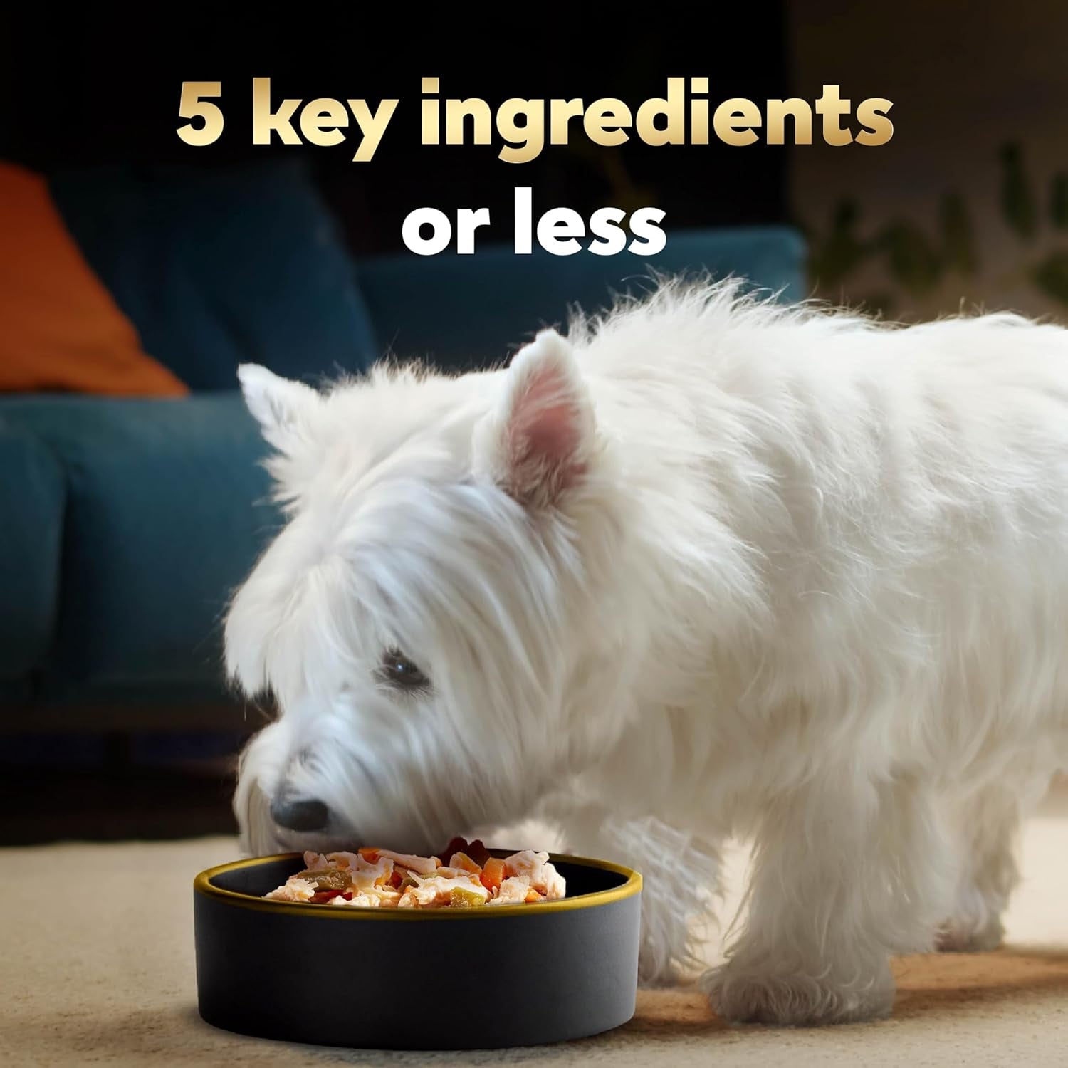 cesar-simply-crafted-wet-dog-food-toppers-chicken-1-3-oz-10-count-real-chicken-1-ingredient-no-by-products-or-artificial-flavors-slow-cooked-easy-to-digest-single-serve-tubs