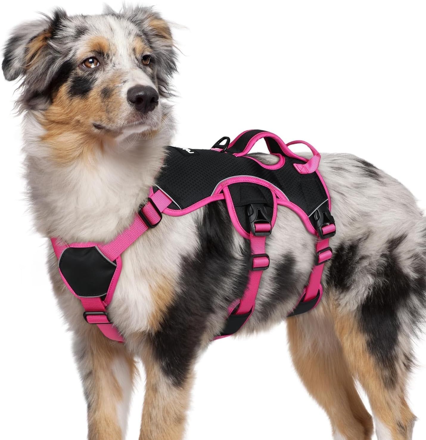 rabbitgoo-escape-proof-dog-harness-for-large-no-pull-with-lift-handle-no-escape-full-soft-padded-reflective-adjustable-vest-leash-clip-for-walking-hiking-training-black-large