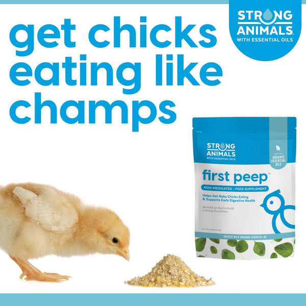 First Peep Chick Feed Supplement with Oregano Oil 2 Lb | Non-Medicated, Organic Oregano Oil, Kelp & Prebiotics, Helps Chicks Start Eating Sooner, Supports Early Digestive Health6