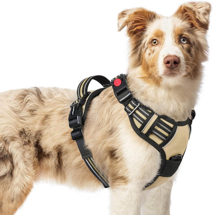 Rabbitgoo Dog Harness Medium Sized, Updated Easy on & off with 3 Buckles | No Pull No Choke, Walking with 2 Clips and Handle, Adjustable Soft Reflective, Blue, Medium68