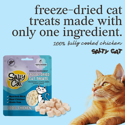 Salty Cat Natural Freeze-Dried Chicken Cat Treats, 10G Bag (12 Packs)2