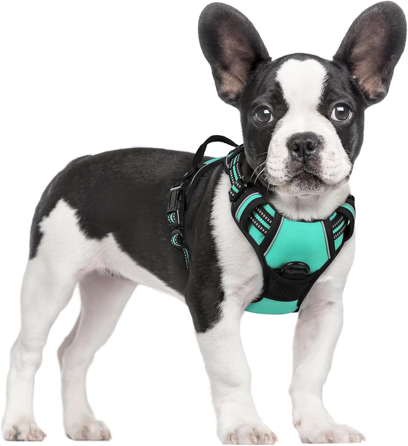 rabbitgoo-dog-harness-no-pull-for-large-dogs-with-2-leash-clips-pet-vest-no-choke-with-handle-adjustable-soft-padded-reflective-easy-control-for-walking-black-large