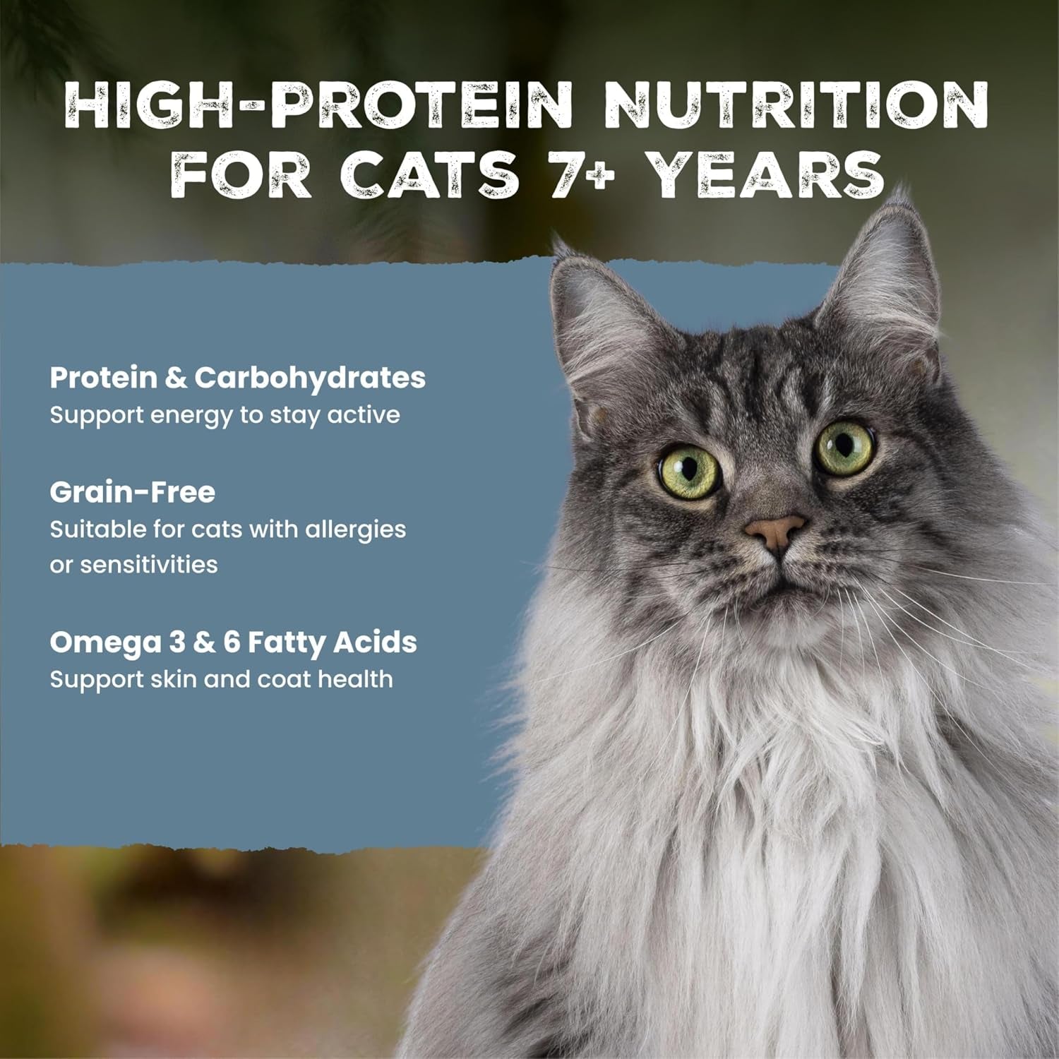 blue-buffalo-wilderness-adult-cat-7-grain-free-chicken-pate-wet-cat-food-supports-energy-for-an-active-life-made-with-natural-ingredients-5-5-oz-cans-24-count