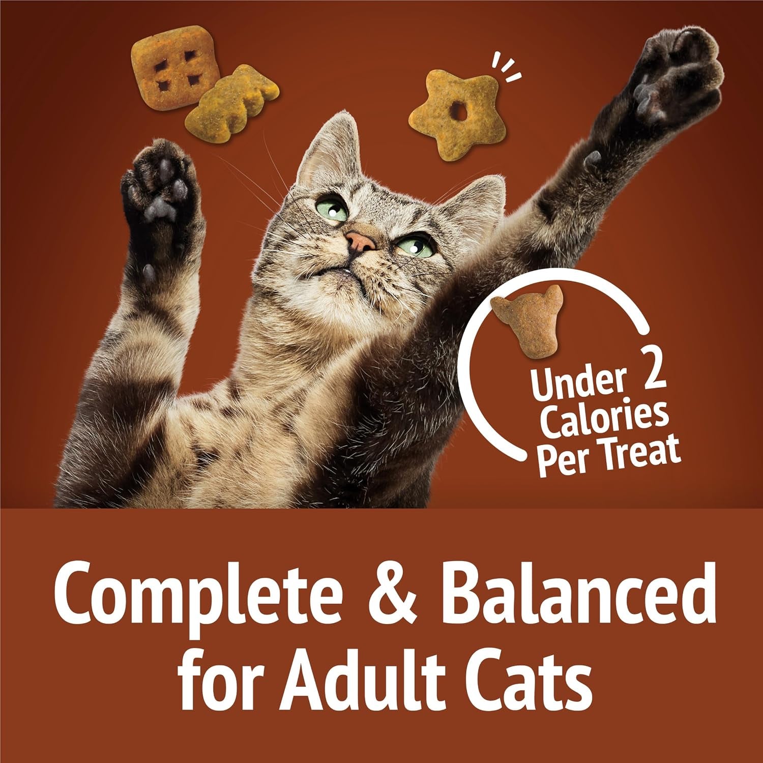 purina-friskies-cat-treats-party-mix-wild-west-crunch-pack-of-10-2-1-oz-pouches