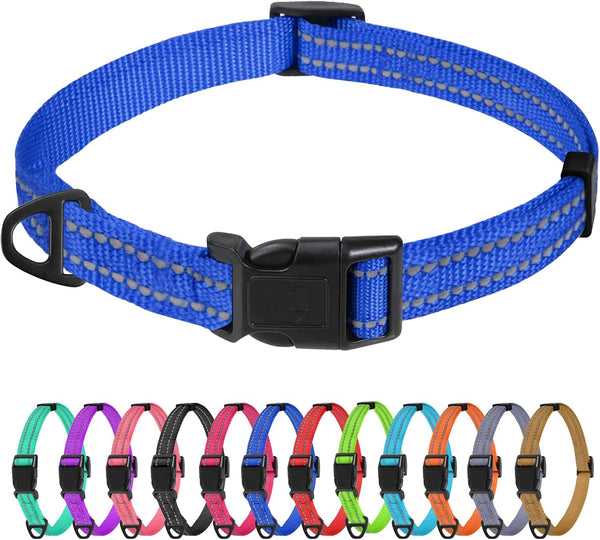 Tagme Small Dog Collar, Reflective Puppy Collar, Sky Blue, 3/8" Width | Lightweight, Nylon Collar for Puppies, Chihuahua, Yorkie & Teacup Dogs 5-15 Lbs, Reflective for Evening Walks, 12 Colors53