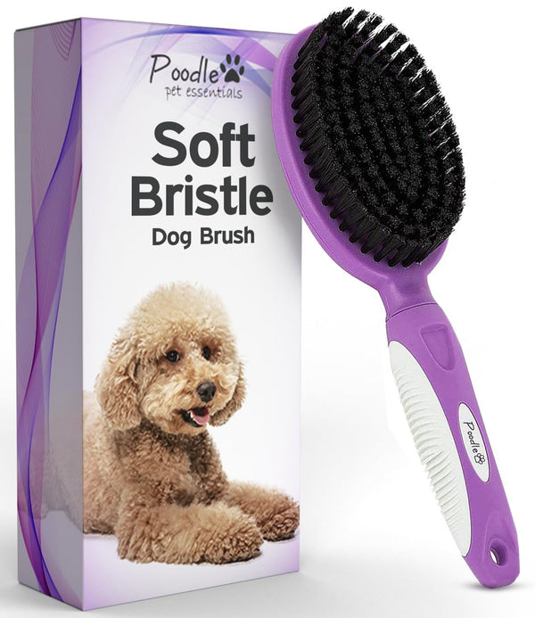 Soft Bristle Dog Brush for Short Haired Cats or Dogs - Firm Bristles to Remove Dust, Dirt, and Loose Fur - Hook and Rubber Handle1