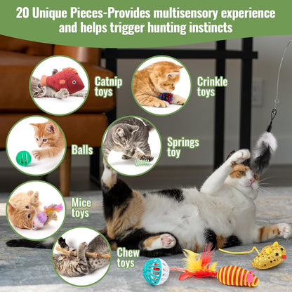 Fashion'S Talk Cat Toys Variety Pack for Kitty 20 Pieces4