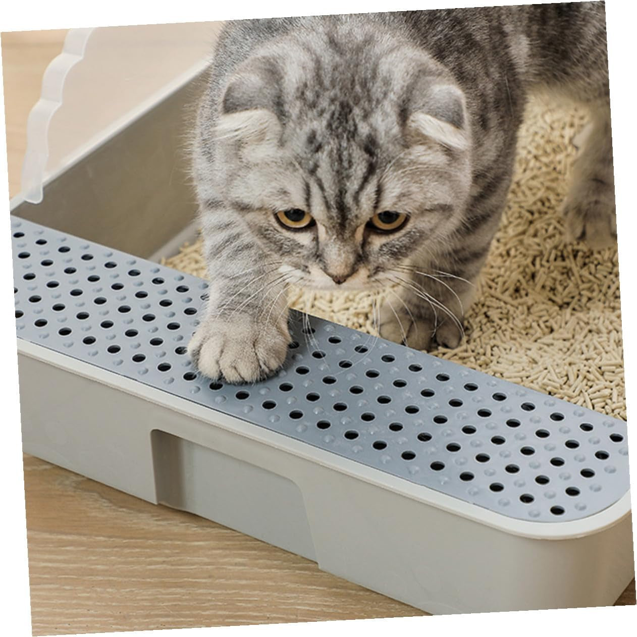 luxshiny-detachable-small-gray-cat-litter-pan-potty-with-anti-splashing-design-plastic-half-enclosed-cat-toilet-for-kitten-housebreaking