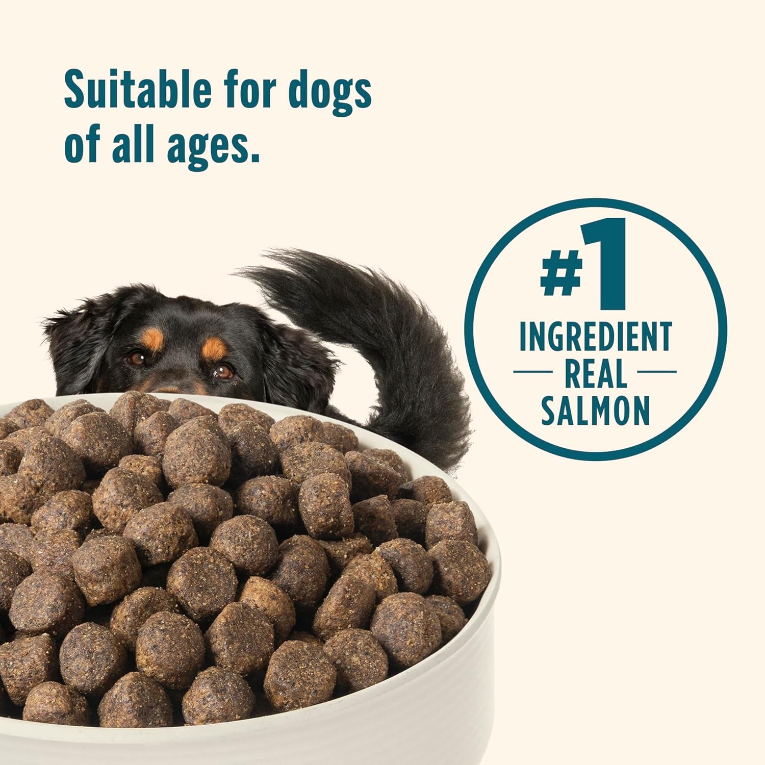 nutrish-grain-free-dry-dog-food-salmon-sweet-potato-recipe-23-lb-bag-rachael-ray