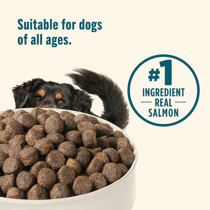 Nutrish Grain Free Dry Dog Food, Salmon & Sweet Potato Recipe, 23 Lb. Bag (Rachael Ray)6