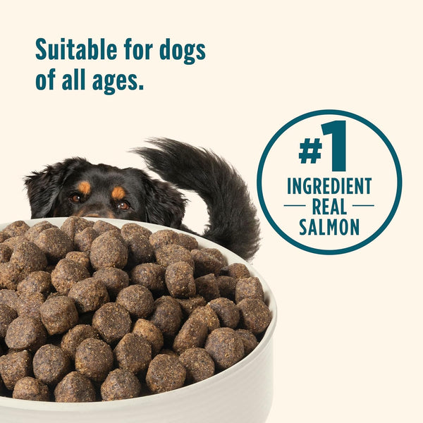 Nutrish Grain Free Dry Dog Food, Salmon & Sweet Potato Recipe, 23 Lb. Bag (Rachael Ray)6