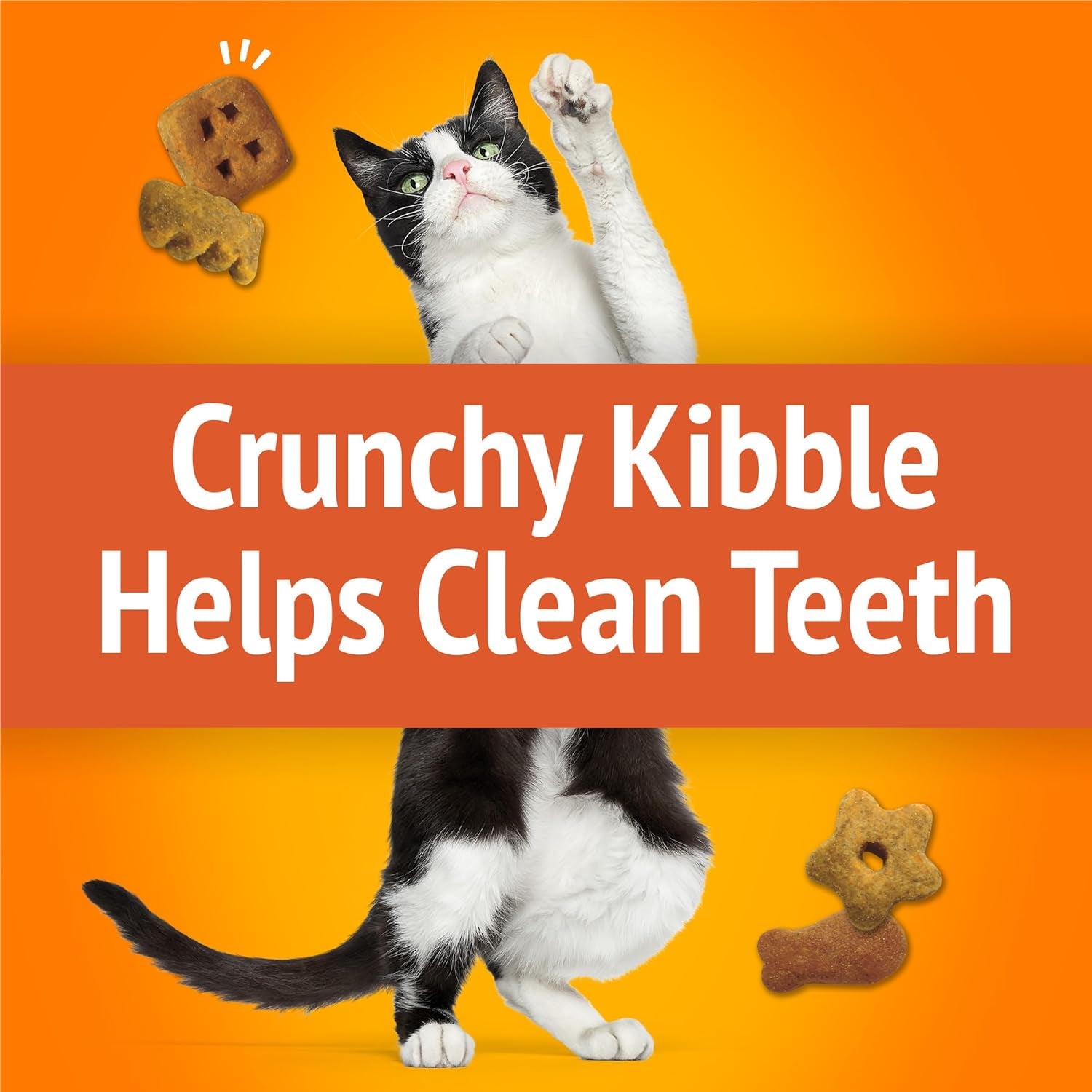 purina-friskies-cat-treats-party-mix-original-crunch-30-ounce-pack-of-1