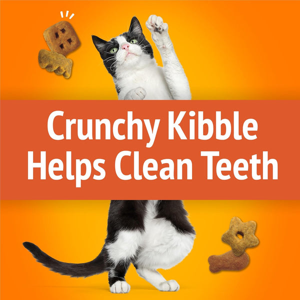 Purina Friskies Cat Treats, Party Mix Original Crunch - 30 Ounce (Pack of 1)4