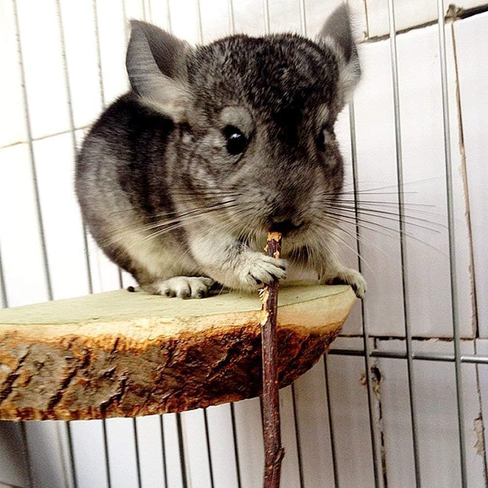 william-craft-apple-sticks-pet-chew-toy-treats-for-chinchilla-guinea-pigs-rabbits-squirrel-hamster-bunny