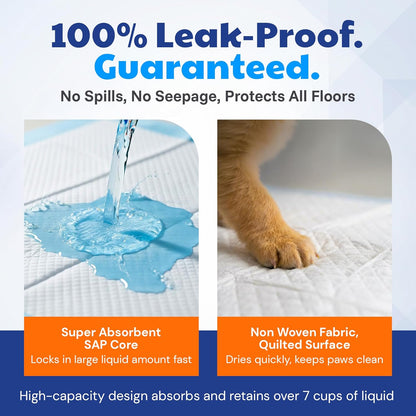 AKC Dog Training Pads, XL 28" X 30", Fresh Scent, 50 Count7
