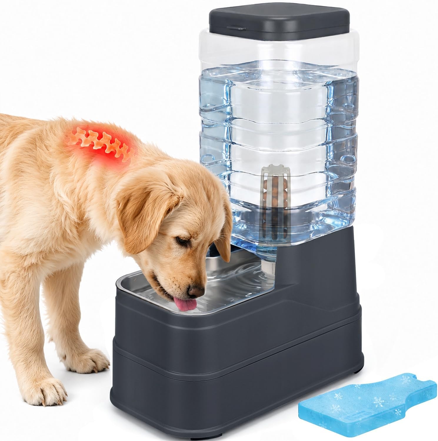 2-2-gallon-pet-automatic-dog-water-dispenser-cat-gravity-waterer-feeder-with-stainless-steel-bowl-8l-large-capacity-puppy-feeding-raised-bowls-with-filter-ice-pack