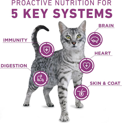 Purina ONE plus Whole Body Support with Chicken Dry Cat Food - 16 Lb. Bag3
