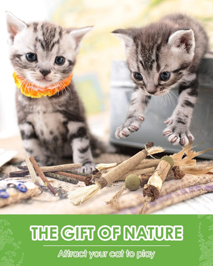 TINDTOP Catnip Chew Toys for Cats, 12 Pack Natural Silvervine Sticks | for Kittens Teeth Cleaning, Matatabi Dental Care, Increase Appetite, Calm Cat Anxiety and Stress, Cat Dental Toy7