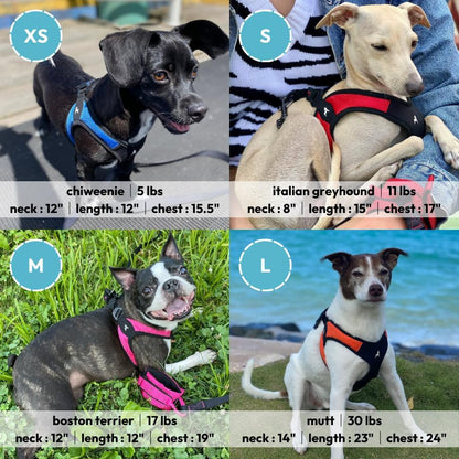 Gooby - Escape Free Easy Fit Harness, Small Dog Step-In Harness for Dogs That like to Escape Their Harness, Turquoise, Small6