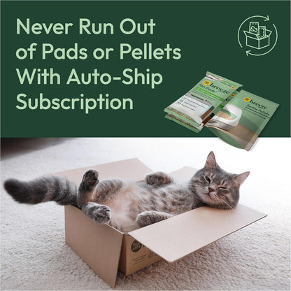 Purina Tidy Cats Breeze Litter Box System Kit with Pellet Cat Litter, XL Litter Box and Litter Box Pads11