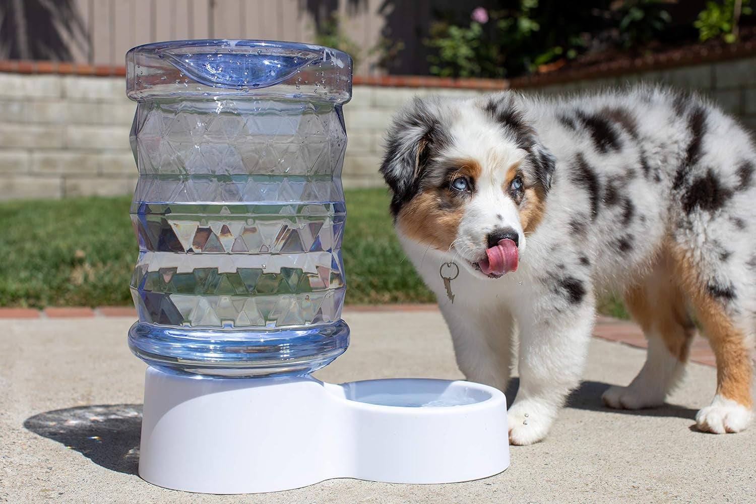 petfusion-h2o-gravity-pet-water-dispenser-durable-2-5-gallon-waterer-feeder-automatic-station-for-cats-small-medium-large-dogs-transparent