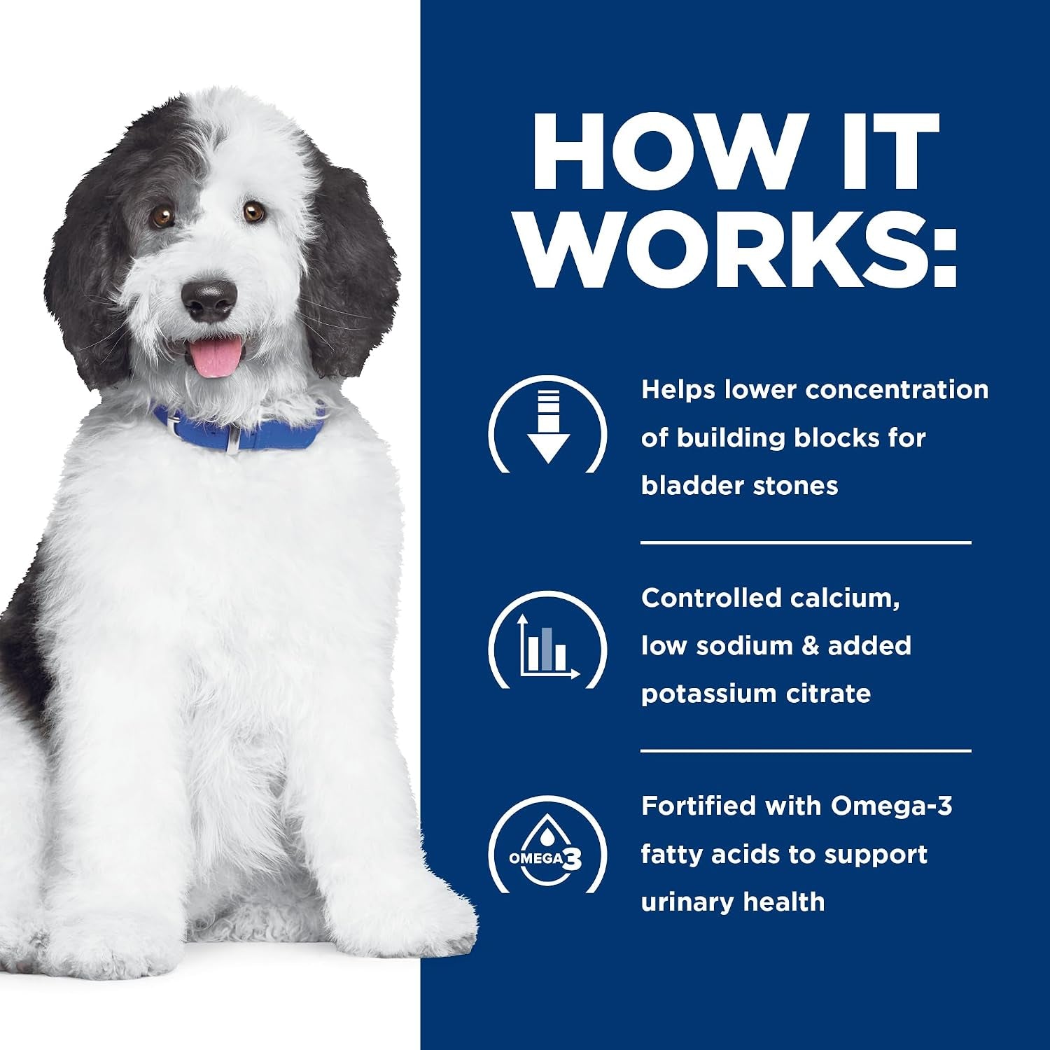 hills-prescription-diet-c-d-multicare-urinary-care-dry-dog-food-1-veterinarian-recommended-chicken-recipe-8-5-lb-bag