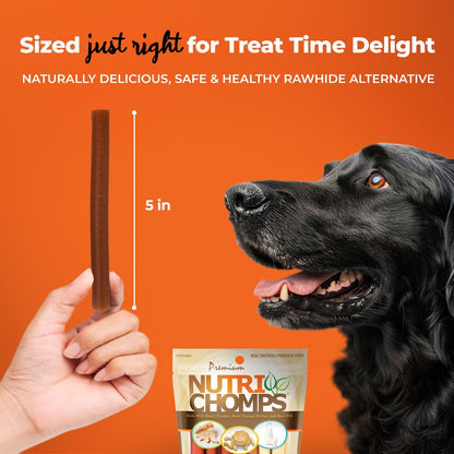 Nutri Chomps Dog Chews, 5-Inch Twists, Easy to Digest, Rawhide-Free Dog Treats, 15 Count, Real Chicken, Peanut Butter and Milk Flavors | a Rawhide-Free Chew That'S Gentle and Easy to Digest, Made with the Real, Wholesome Ingredients Dogs Love4