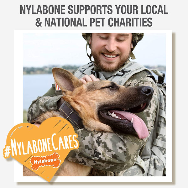 Nylabone Power Chew Comfort Hold X Bone Dog Chew Toy, Beef Flavor, Small | Small Breeds, Durable Dog Toys for Dogs up to 25 Lbs, Teeth-Cleaning Textures, Discourages Destructive Chewing, Long Lasting8