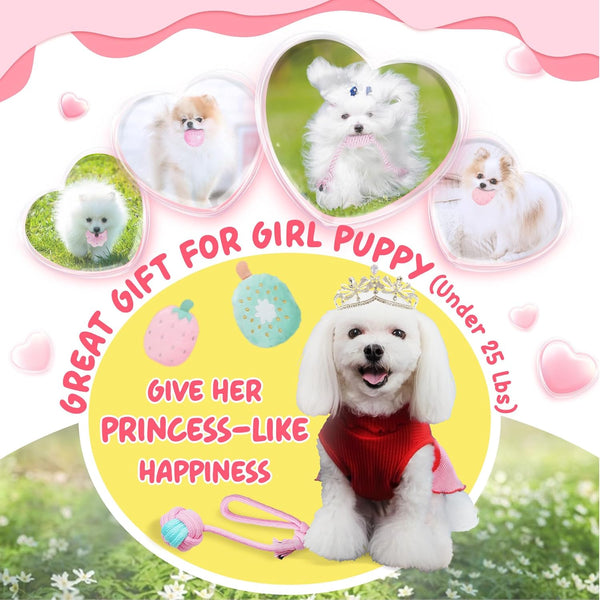 XIUGOAL Pink Puppy Toys for Boredom - 23 Pack Puppy Chew Toys for Teething, Interactive Dog Toys for Puppies, Cute Small Dog Toys with Treat Ball, Squeaky Dog Chew Toys and Ropes2