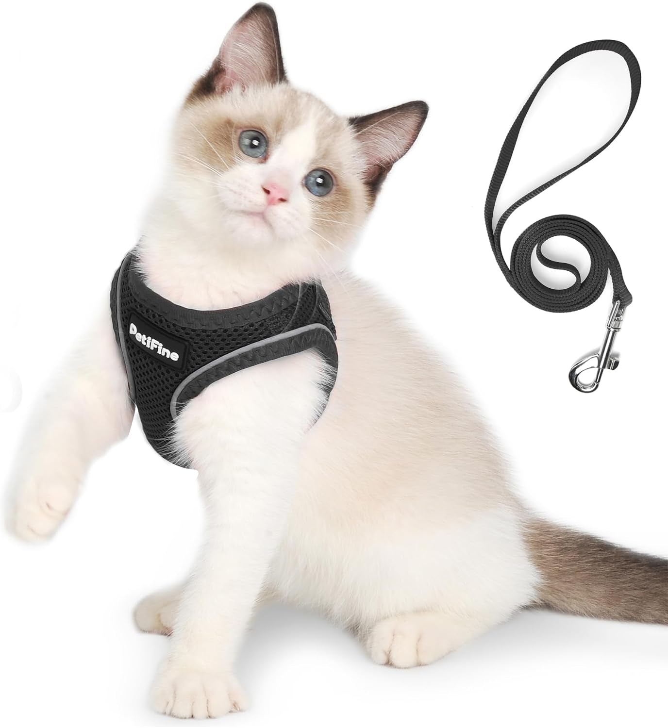 small-dog-harness-and-leash-set-breathable-step-in-puppy-cat-harness-xs-reflective-for-safe-easy-walking-soft-light-puppy-vest-escape-proof-no-pull-harness-for-dogs-all-weather-air-mesh-harness