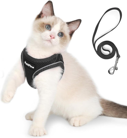 Small Dog Harness and Leash Set Breathable Step-In Puppy Cat Harness,Xs | Reflective for Safe Easy Walking,Soft Light Puppy Vest,Escape Proof,No Pull Harness for Dogs,All Weather Air Mesh Harness28