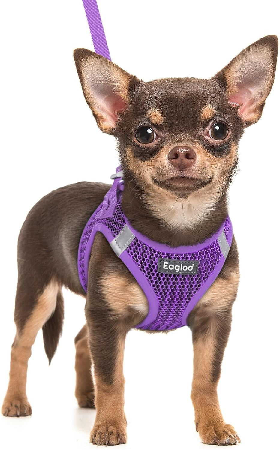 eagloo-small-dog-harness-and-leash-set-step-in-small-sized-puppy-pet-vest-light-soft-breathable-air-mesh-easy-on-and-off-with-hook-loop-reflective-for-safe-walking-pink-s