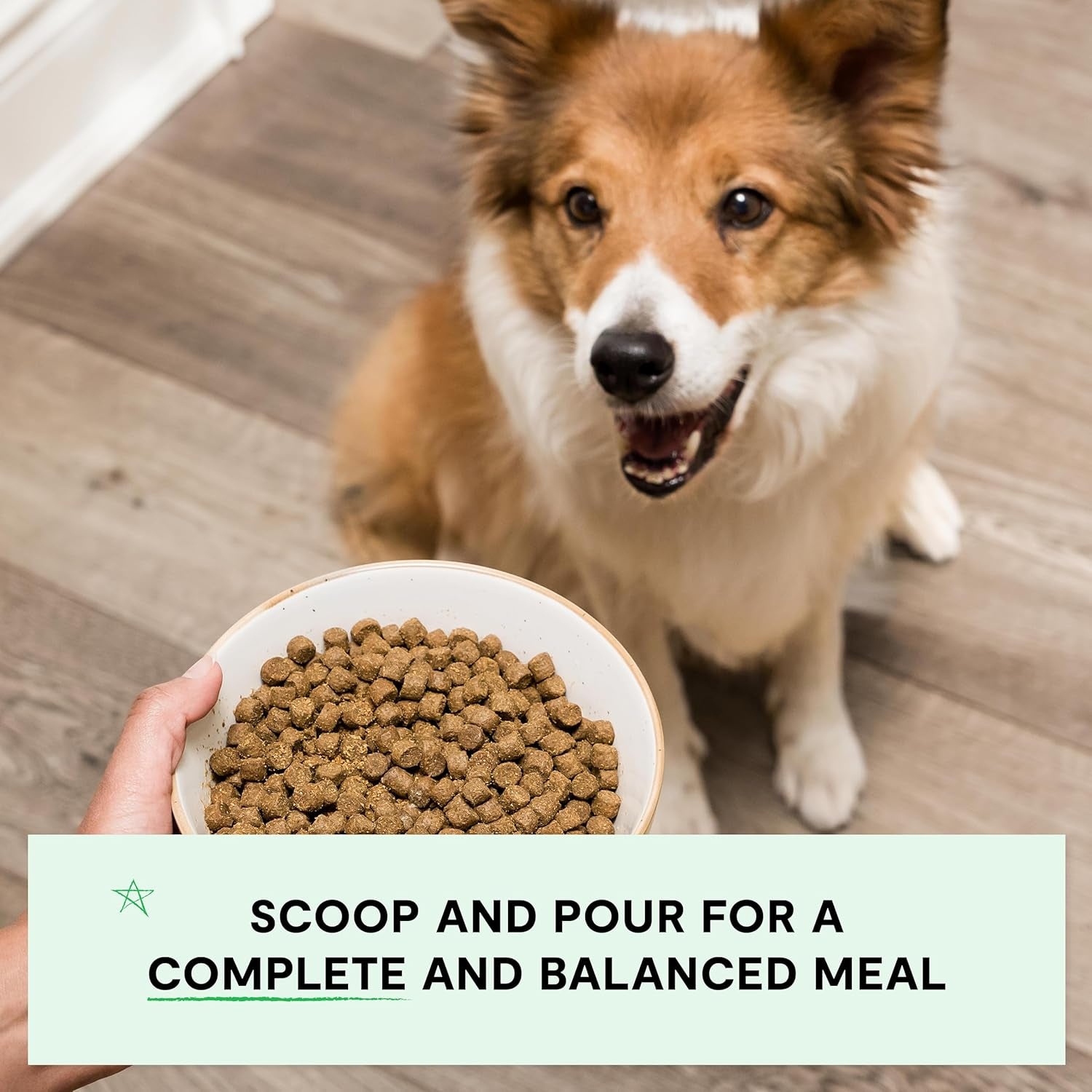 open-farm-grain-free-dry-dog-food-grass-fed-beef-kibble-22lb-bag-all-life-stages-all-breed-sizes-protein-rich-nutrient-dense-100-traceable-ingredients-non-gmo-fruits-veggies