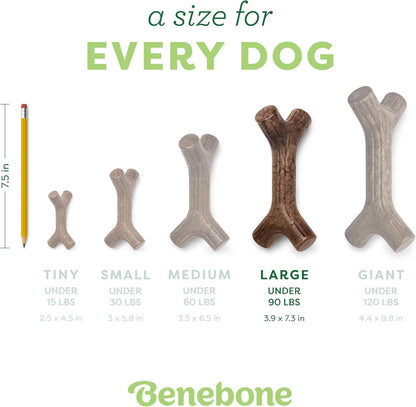 Benebone Maplestick Real Wood Durable Dog Chew Toy, Made in USA, Large4