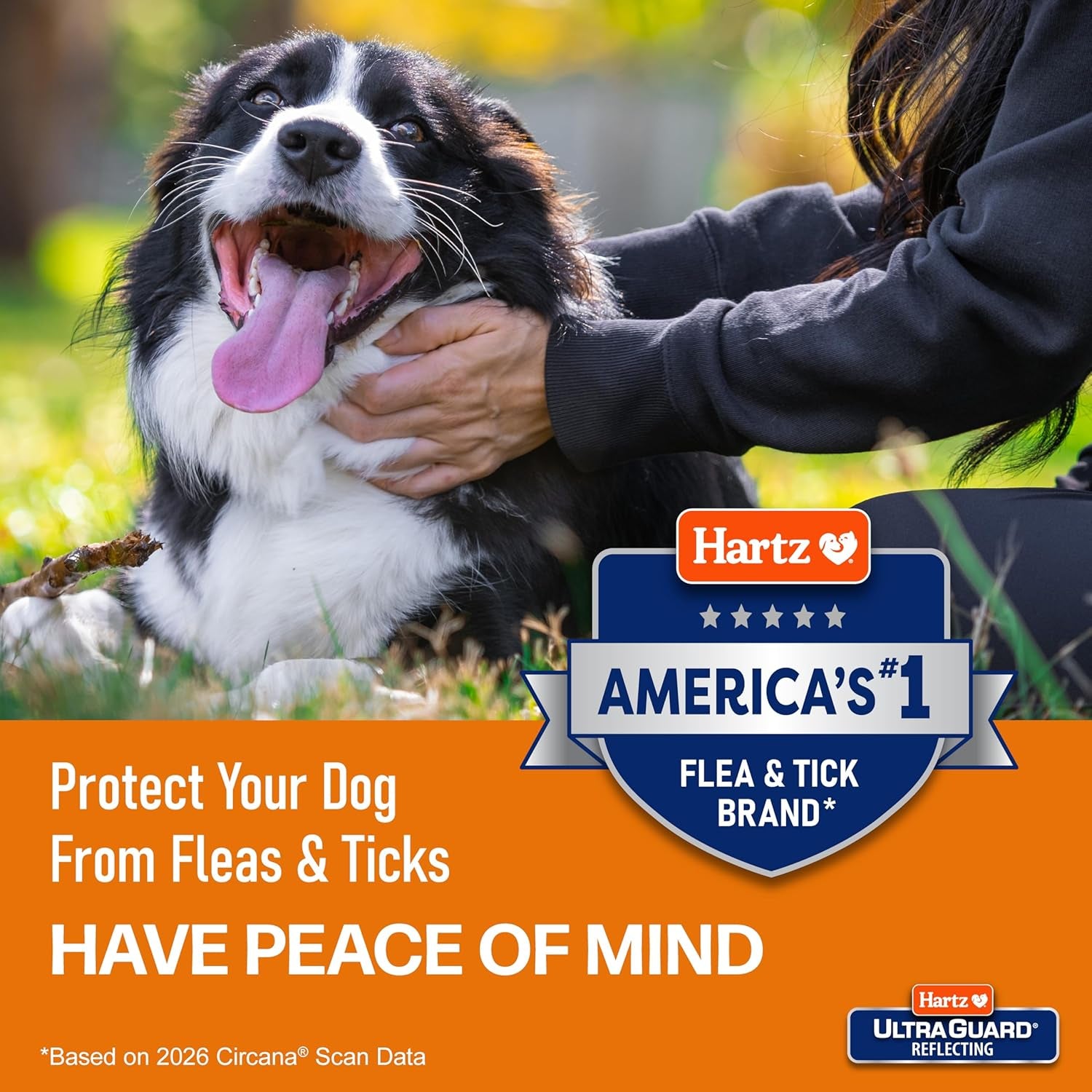 hartz-ultraguard-rid-flea-tick-oatmeal-dog-shampoo-18-oz-bottle