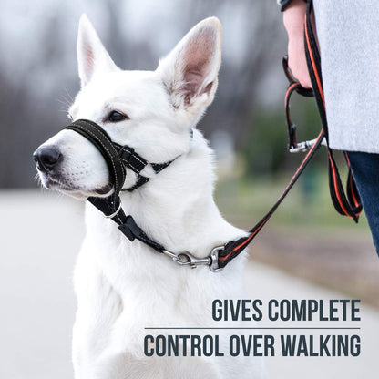 Goodboy Dog Head Halter with Safety Strap - Stops Heavy Pulling on the Leash - Padded Headcollar for Small Medium and Large Dog Sizes - Head Collar Training Guide Included (Size 2, Black)2