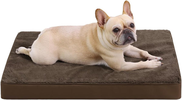 KSIIA Orthopedic Dog Bed for Large Dogs with Waterproof Lining, Grey, 35X22 | Deluxe Soft Plush Dog Crate Bed, Washable Pet Mat with Removable Cover & Egg Crate Foam for Large Dogs Sleeping & Relaxing25