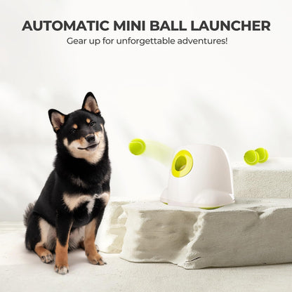 ALL for PAWS Automatic Dog Ball Launcher, Interactive Fetch Toy for Small to Medium Dogs, Pet Thrower Machine for Indoor & Outdoor Play, 3 Pcs 2-Inch Balls Included7