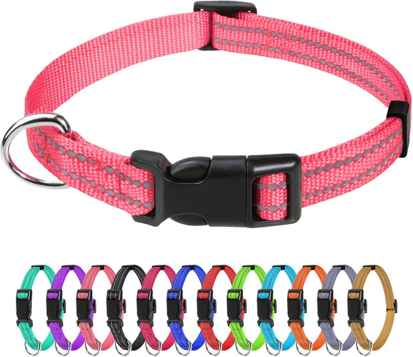 Tagme Small Dog Collar, Reflective Puppy Collar, Sky Blue, 3/8" Width | Lightweight, Nylon Collar for Puppies, Chihuahua, Yorkie & Teacup Dogs 5-15 Lbs, Reflective for Evening Walks, 12 Colors30