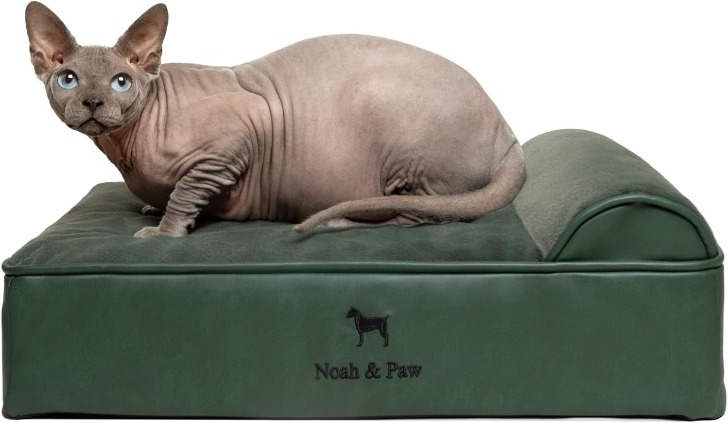 noah-paw-large-dog-bed-35x25x8-7-inch-orthopedic-dog-beds-eggshell-memory-foam-infused-with-cooling-gel-water-resistant-machine-washable-includes-inner-cover-velvet-collection