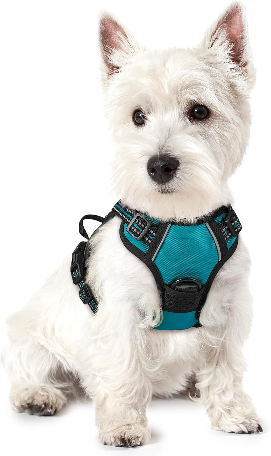 rabbitgoo-dog-harness-no-pull-for-large-dogs-with-2-leash-clips-pet-vest-no-choke-with-handle-adjustable-soft-padded-reflective-easy-control-for-walking-black-large