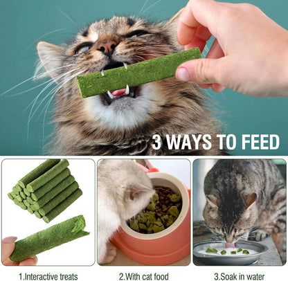 120G/4.23Oz Cat Grass Teething Stick Hairballs,Chew Sticks for Cats,Catnip Toys Sticks Indoor Kitten Chew Stick (Green)5